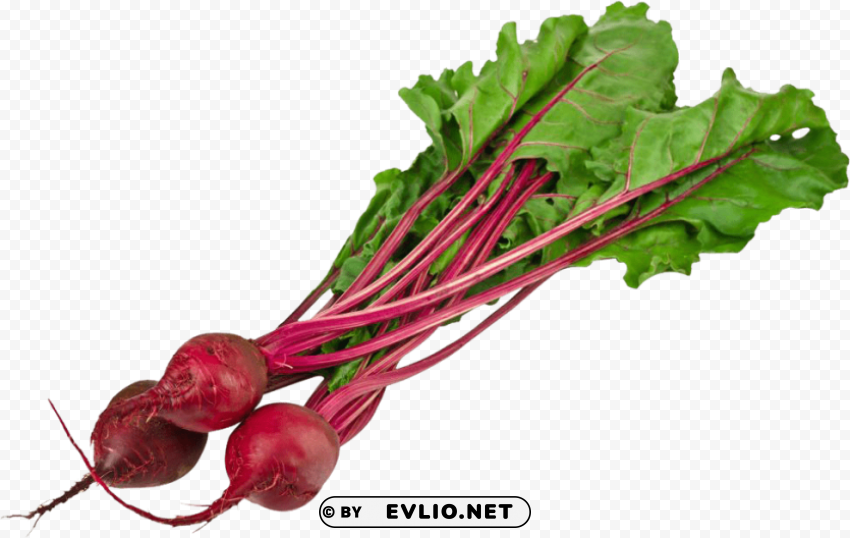 beet HighResolution Isolated PNG Image