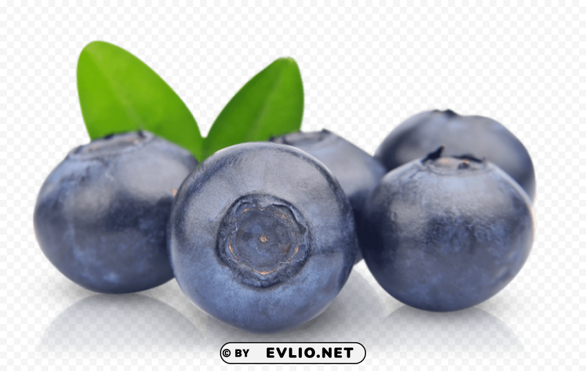 blueberries PNG graphics for free
