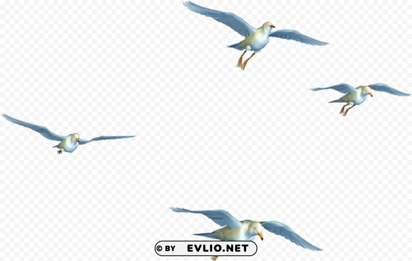 flying birds PNG images with alpha transparency layer
