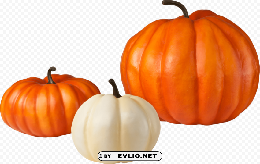 pumpkin Transparent Background Isolated PNG Design Element PNG images with transparent backgrounds - Image ID 2b4dc737