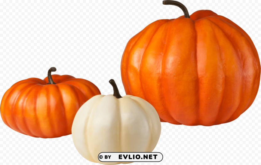 Pumpkin Transparent Background Isolated PNG Design Element