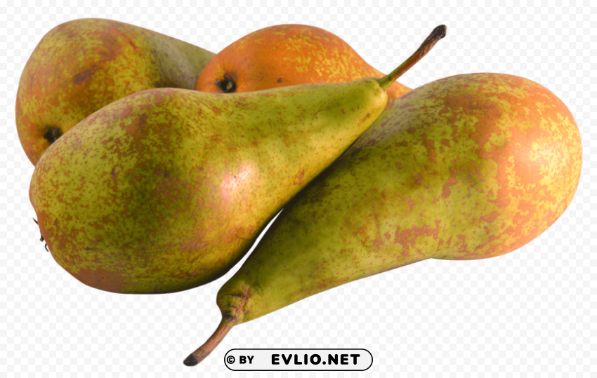 Pear Free PNG download no background