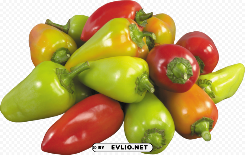 pepper PNG free download transparent background