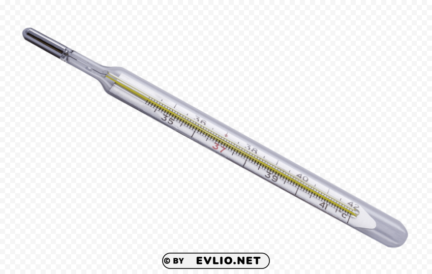 Thermometer Isolated Element on HighQuality PNG