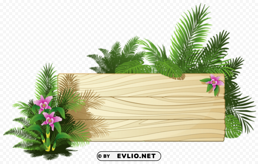 exotic board PNG clipart with transparency
