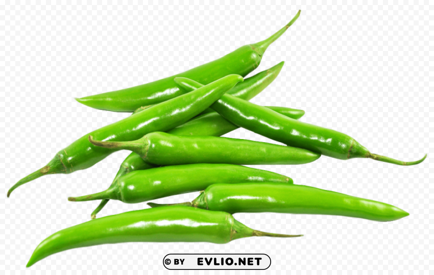 fresh chili PNG Image with Clear Isolation