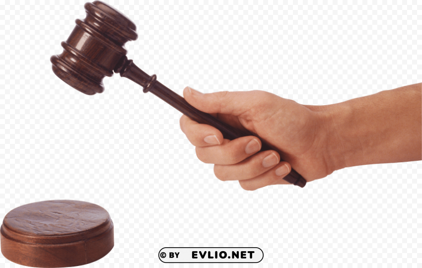 gavel Isolated Character on Transparent Background PNG