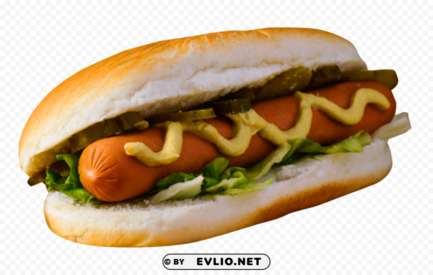 Hot Dog PNG Download Free
