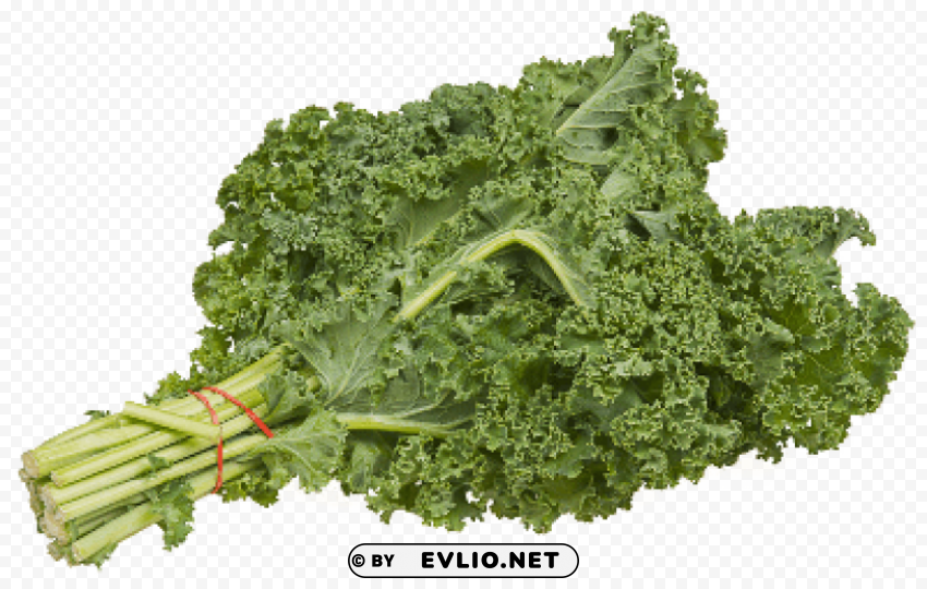 kale Transparent Background Isolated PNG Item PNG images with transparent backgrounds - Image ID fa91d817