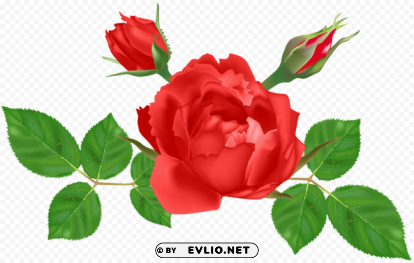 red rose deco HighQuality Transparent PNG Object Isolation