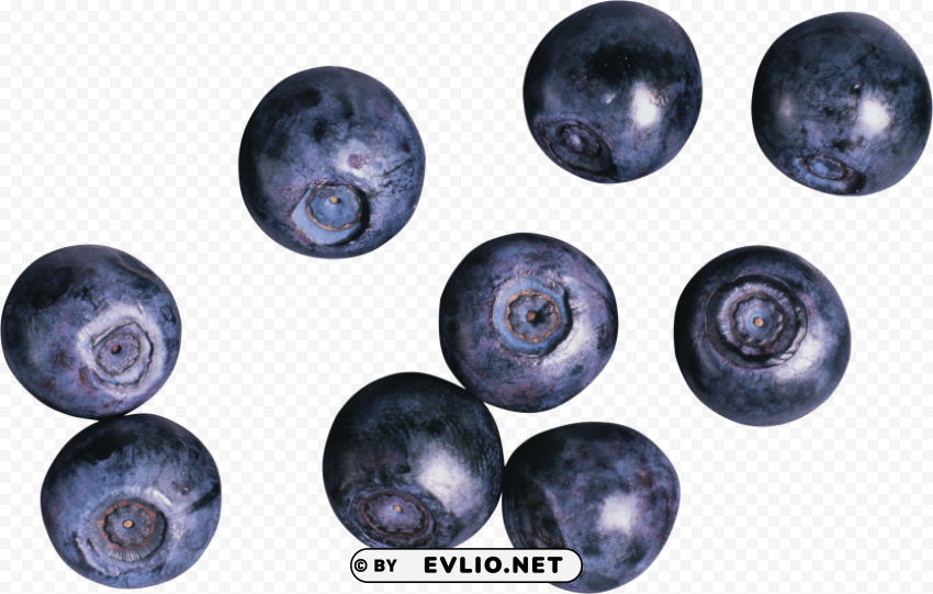 blueberries Clear Background Isolated PNG Illustration
