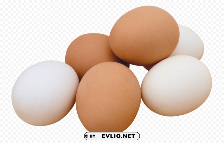 eggs Free PNG images with alpha transparency PNG images with transparent backgrounds - Image ID 5b8290d9