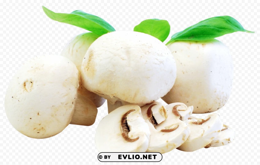 fresh mushrooms PNG images transparent pack