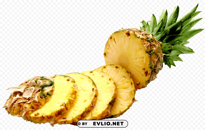 pineapple slices Isolated Illustration with Clear Background PNG