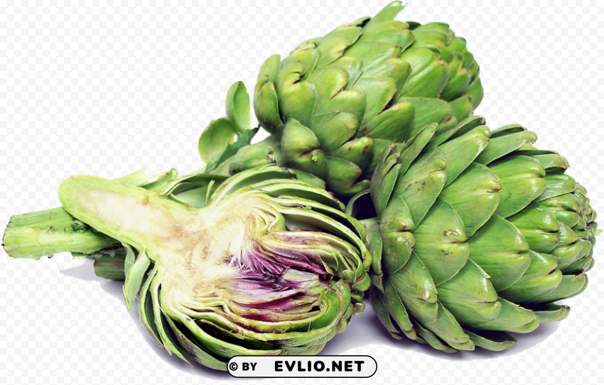 Transparent artichokes image PNG images with no watermark PNG background - Image ID 986cb778