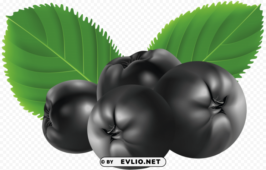 blueberries Transparent background PNG stock