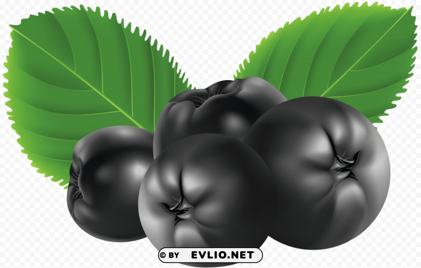 Blueberries Transparent Background PNG Stock