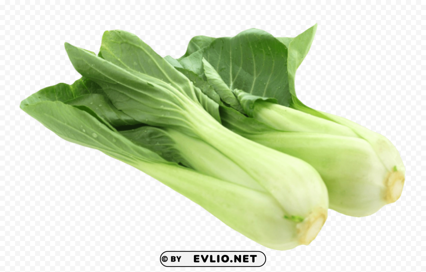 bok choy Isolated Subject with Clear PNG Background