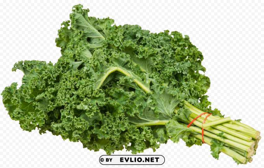 kale bundle ClearCut Background Isolated PNG Design