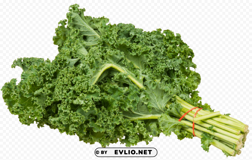 Kale Bundle ClearCut Background Isolated PNG Design