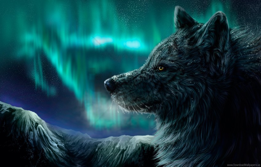 Mountains Night Northern Lights Wolf Wallpaper PNG Image Isolated With Clear Background