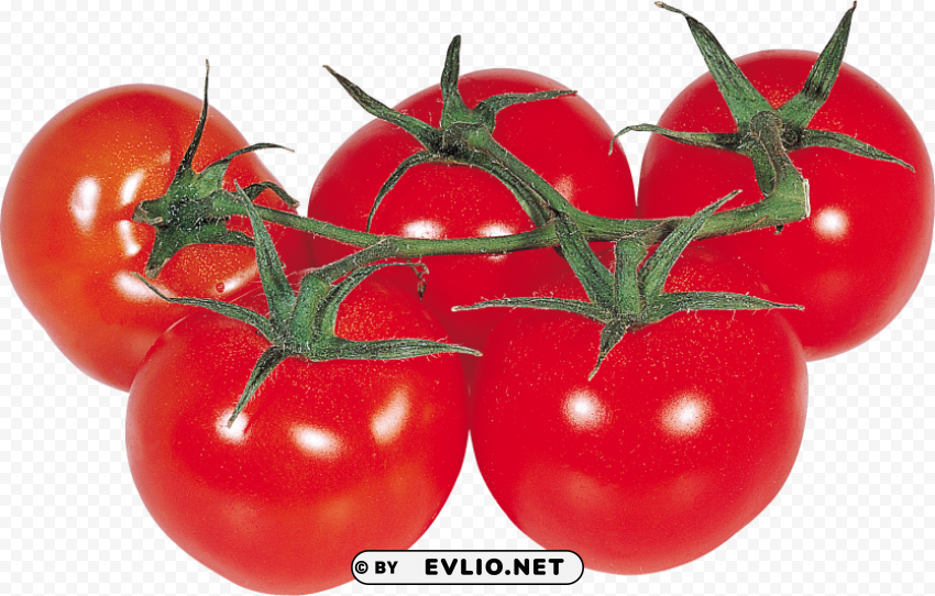 red tomatoes Clear PNG pictures broad bulk