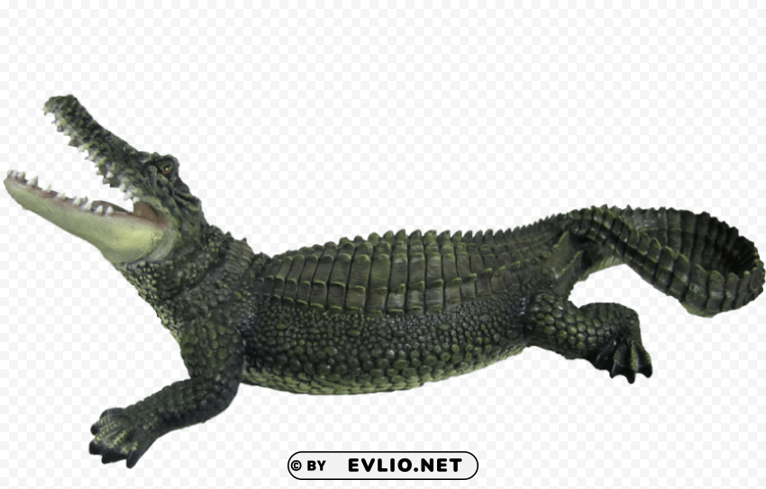 crocodile Isolated Design in Transparent Background PNG
