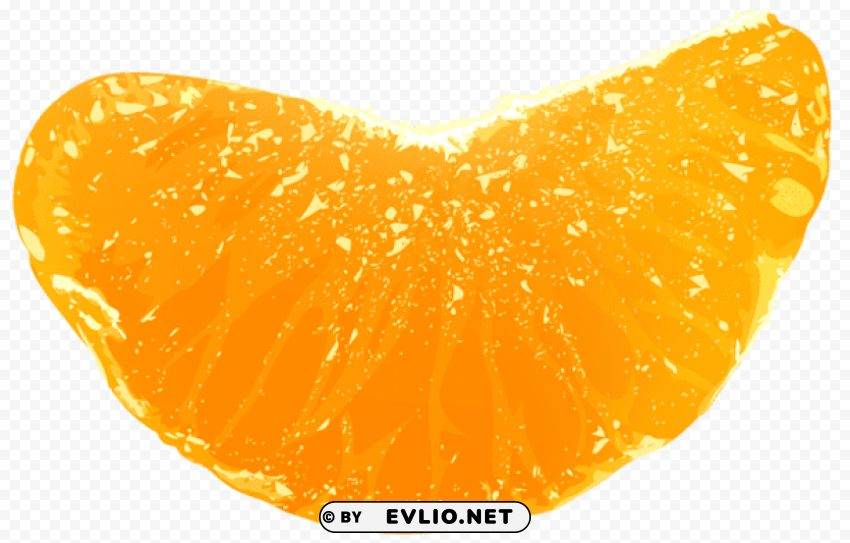 piece of tangerine transparent PNG graphics for free