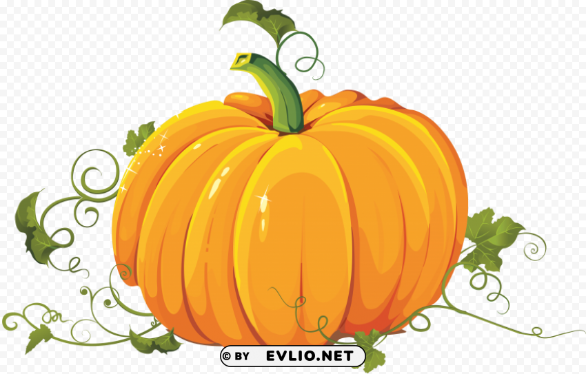 Pumpkin Isolated Item On HighQuality PNG