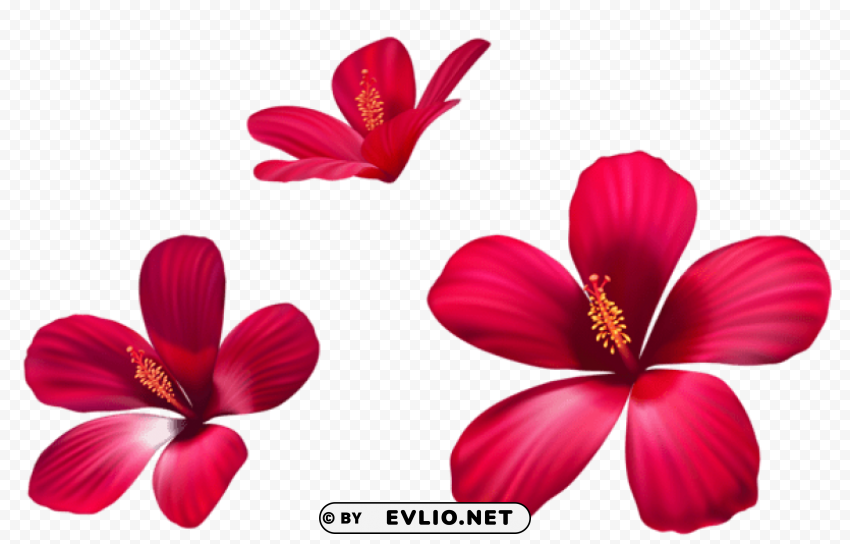 exotic pink flowers Clean Background Isolated PNG Design