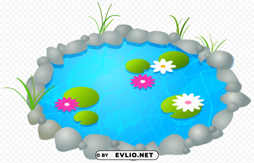 garden pond Transparent PNG Isolated Item with Detail