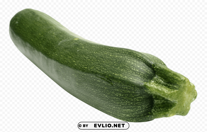 zucchini ClearCut Background PNG Isolated Element