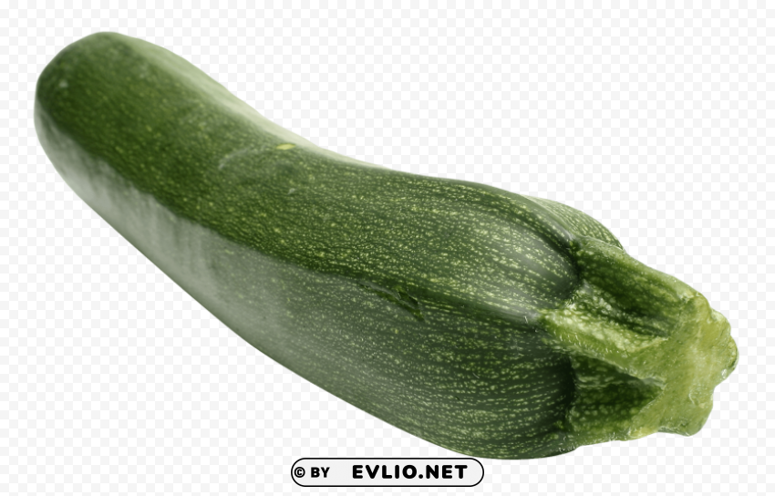 zucchini ClearCut Background PNG Isolated Element PNG images with transparent backgrounds - Image ID d1a7f4ec