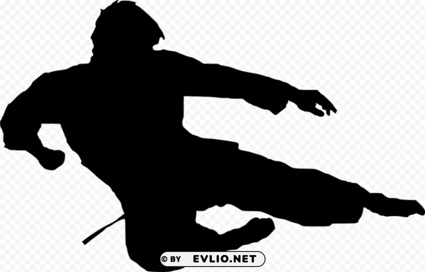 karate silhouette PNG images with no royalties