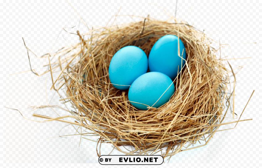 nest Clear Background PNG Isolated Element Detail