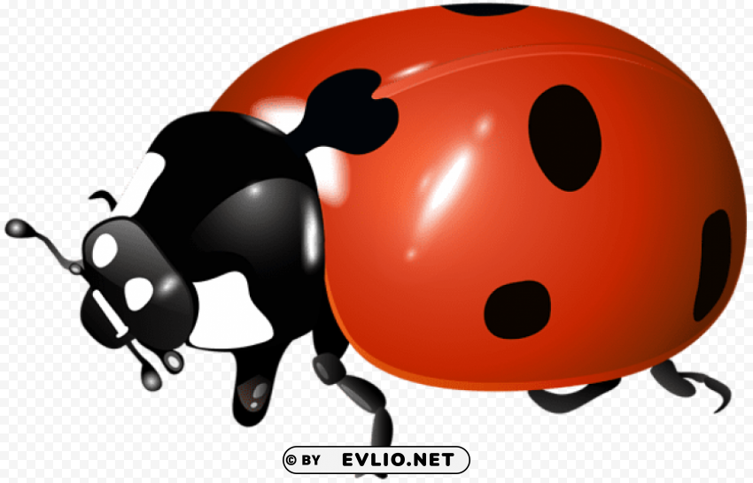 PNG image of ladybug Transparent PNG Object Isolation with a clear background - Image ID 6ca4c869
