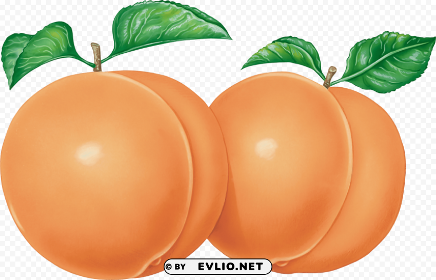peaches Transparent PNG images set