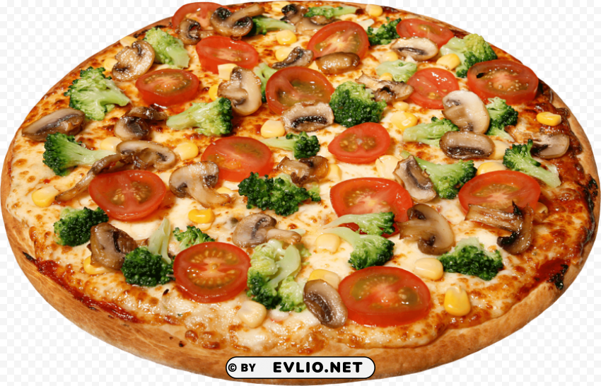 pizza PNG image with no background PNG transparent with Clear Background ID 1bee14d9