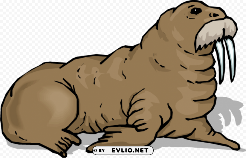 walrus download Clear PNG photos png images background - Image ID 4ce3e147