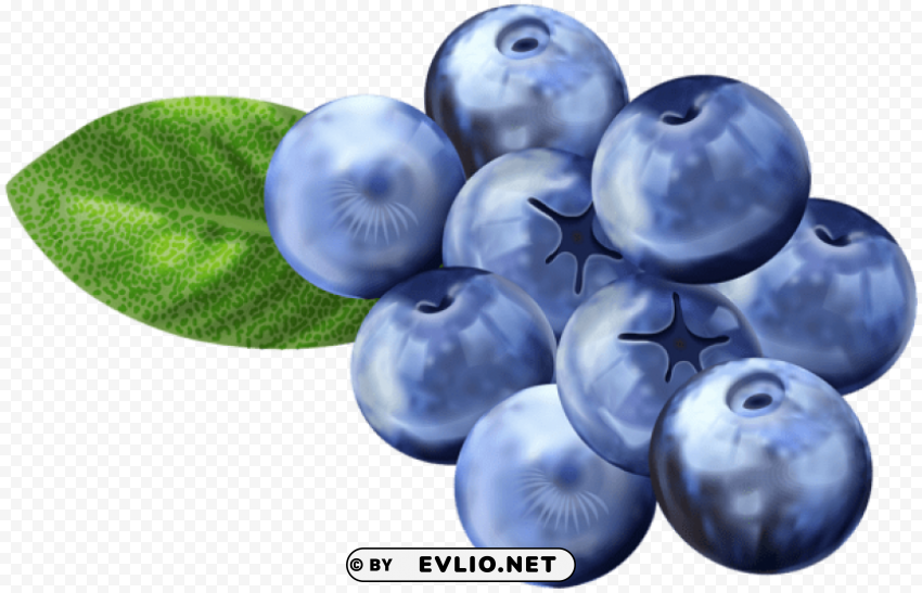 blueberries Free PNG download no background