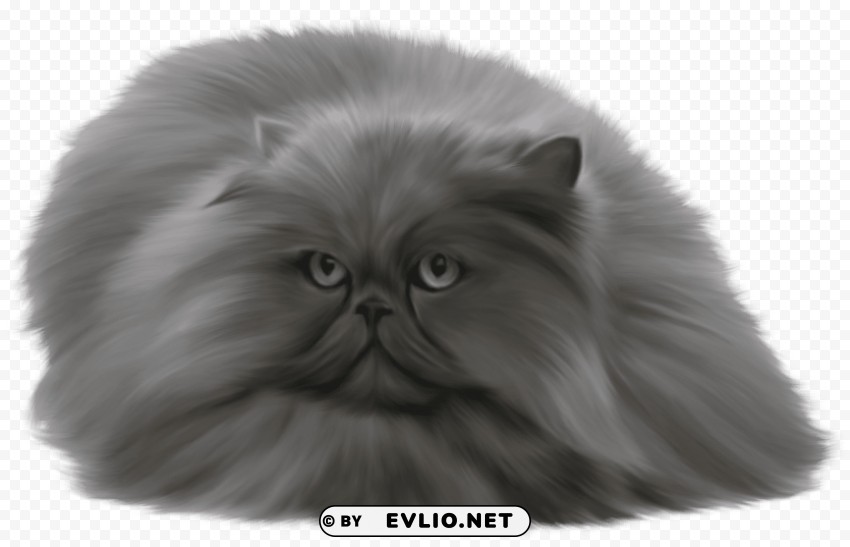 grey cat PNG Image Isolated with Transparent Clarity