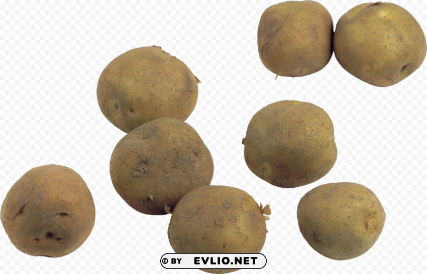 potato PNG for Photoshop