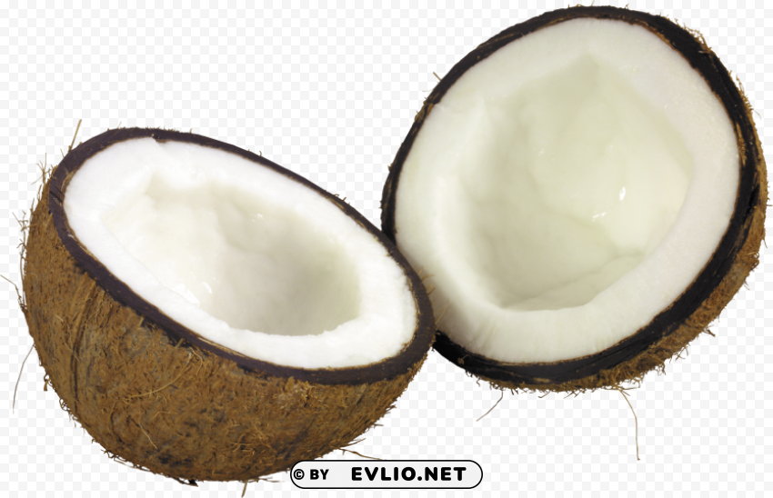 coconut Transparent background PNG images selection