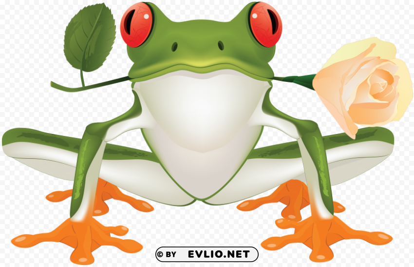 frog Isolated Subject in Transparent PNG Format