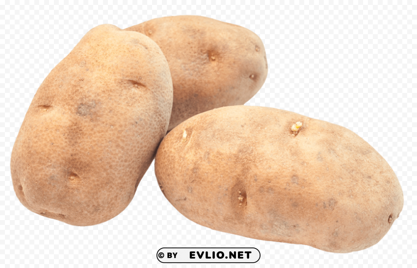Potato PNG For Photoshop