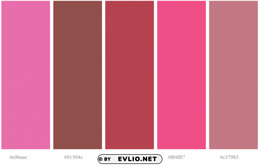 rose color palette ClearCut Background Isolated PNG Graphic Element