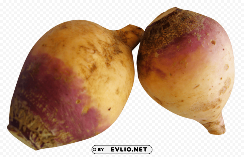 rutabaga PNG graphics with alpha channel pack
