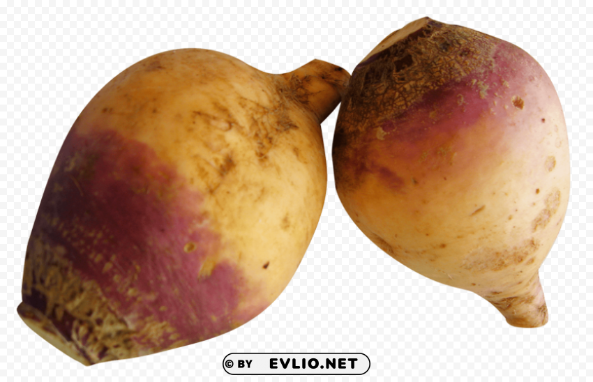 Rutabaga PNG Graphics With Alpha Channel Pack