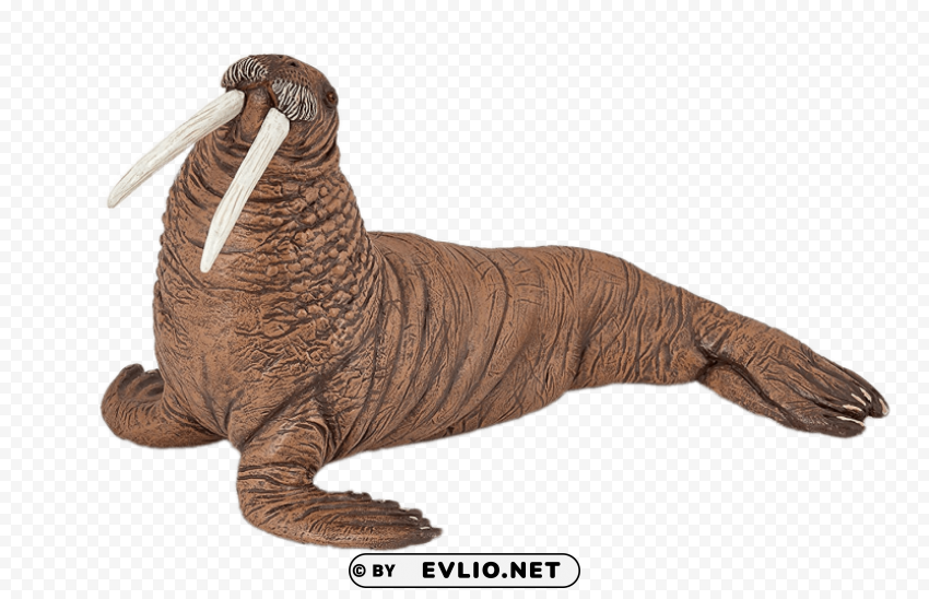 walrus figurine PNG files with clear background