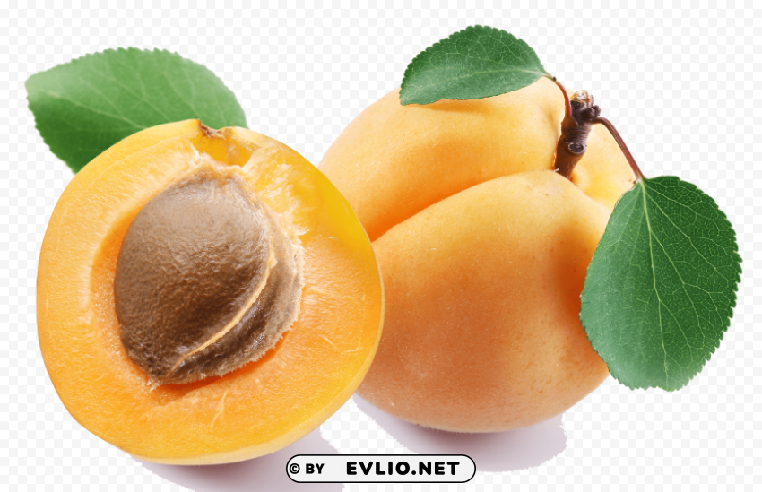 apricot Isolated Design in Transparent Background PNG